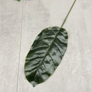 IMG_0526