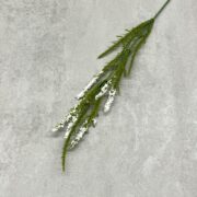 IMG_6173 2
