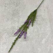 IMG_6188 2