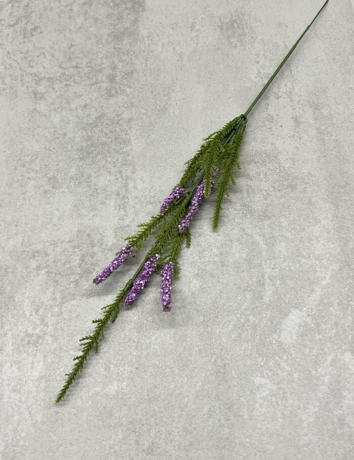 IMG_6188 2