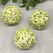 IMG_4375