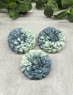 Cynia LR210224-002