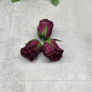 IMG_6686