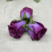IMG_6696