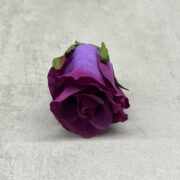 IMG_6698
