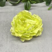 IMG_5615