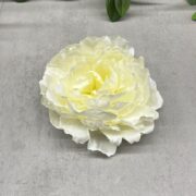 IMG_5623