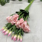 IMG_5676