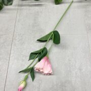 IMG_5677