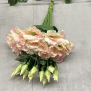 IMG_5697