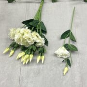 IMG_5711