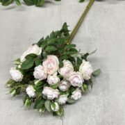 IMG_5781