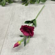 IMG_5831