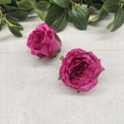 IMG_0844