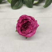 IMG_0845