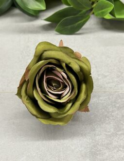 Róża Pąk MGHT #89 OLIVE PINK