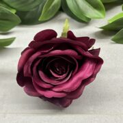IMG_5702