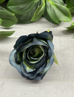 Róża Pąk MGHT #161 GREEN EDGE BLACK