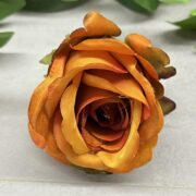 IMG_5706