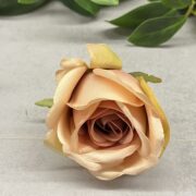 IMG_5709