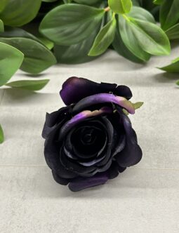 Róża Pąk MGHT #78 BLACK/PURPLE