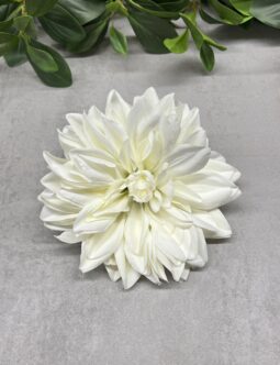 Dalia gęsta FME074380