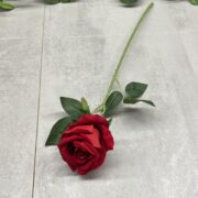IMG_6681