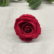 IMG_6684
