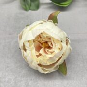 IMG_6918