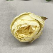 IMG_6920