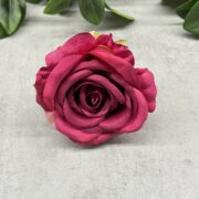 IMG_6969