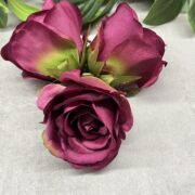 IMG_7016