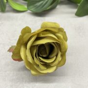 IMG_7023