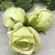 IMG_7028