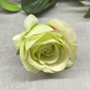 IMG_7029