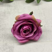 IMG_7076