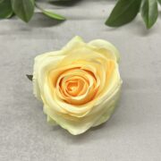 IMG_7080