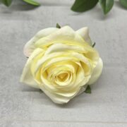 IMG_7082