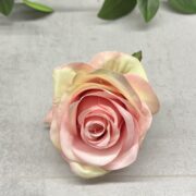 IMG_7089