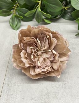 Peonia główka pąk FME074513N