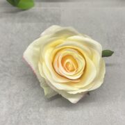 IMG_7176