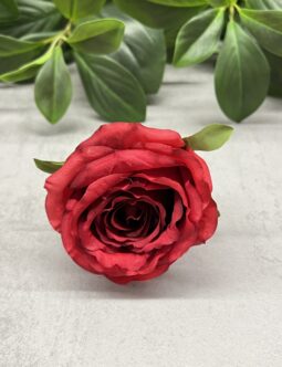 Róża wyrobowa ZB038