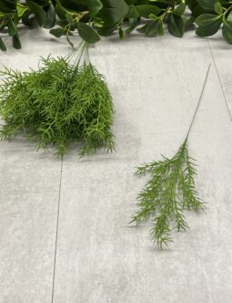 Asparagus na piku TIK195