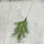 IMG_9454