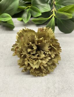 Goździk wyrobowy CV31484