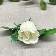 IMG_2957