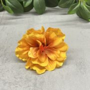 IMG_3074
