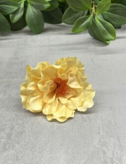 Hibiskus wyrobowy HW48