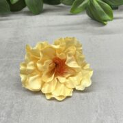 IMG_3080