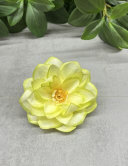 Nenufar wyrobowy L056